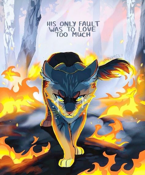 Ashfur Warrior Cats, Cat Warriors, Warrior Cats Funny, Warrior Cat Memes, Warrior Cats Comics, Warrior Cats Series, Warrior Cats Books, Warrior Cats Fan Art, Cat Obsession