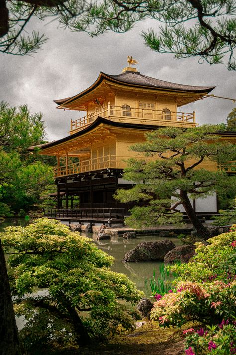 Golden temple Kyoto {Kyoto} Golden Temple Japan, Kyoto Golden Temple, Kyoto Temple, Japan Temple, Golden Temple, Bending, Kyoto, Temple, Japan