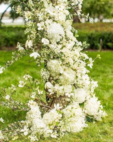 ADORNMENTS Flowers + Finery on Instagram: "Gorgeous, Glorious Green! ☘️ Happy St. Patrick’s Day! #springgreen @mikelarsonlifestyle #santaynezwedding #sloflorist #californiaflorist #greenwedding #weddingarch #driftwoodarch #centralcoastflorist #adornmentsflowers #adornmentsflowersandfinery 🌿" Outdoor California Wedding, Santa Ynez Wedding, Flower Arch, Ceremony Design, Dogwood Flowers, Wedding Flower Inspiration, Aisle Decor, Mod Wedding, Wedding Aisle