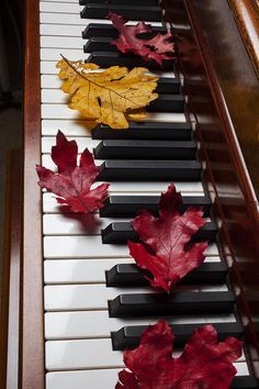 Piano Photography, Piano Art, Piano Keys, Music Artwork, Musical Art, Music Wallpaper, Piano Lessons, The Piano, Music Photography