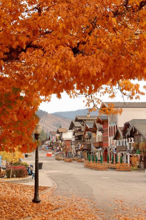 Autumn In Washington State, Washington Fall Aesthetic, Leavenworth Washington Fall, Washington State Fall, Washington Leavenworth, Fall In Tennessee, Washington Fall, Fall Village, Maine Fall