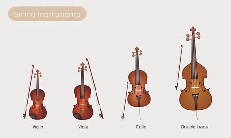 Little Children and the Instruments Of The Orchestra, Violin Family, Instrument Families, Family Tree Maker, Violin Songs, Music Study, Carnival Of The Animals, Violin Strings, Violin Lessons