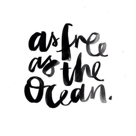 As free as the ocean. As Free As The Ocean, Free As The Ocean, Mots Forts, Beach Quotes, Instagram Captions, Pretty Words, Inspirational Quotes Motivation, The Words, Logo Inspiration