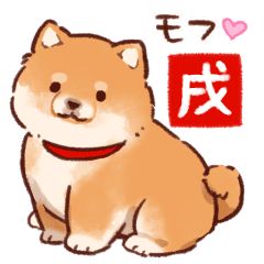 Kawaii Shiba, Cute Dog Drawing, Cute Shiba, Shiba Puppy, Puppy Drawing, Images Kawaii, 강아지 그림, Shiba Inu Dog, Cute Corgi