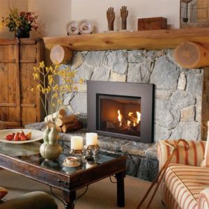 The Best Gas Fireplace Inserts of 2021 - Bob Vila Vented Gas Fireplace Insert, Wood Stove Ideas, Den Remodel, Four Season Room, Stone Fireplace Designs, Fireplace Dimensions, House Fireplace, Viking House, Stove Ideas