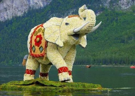 elephants of flowers Plant Sculpture, All About Elephants, Flower Elephant, Floral Elephant, Flower Background Images, Topiary Garden, Garden Sculptures, Elephant Sculpture, Flower Festival