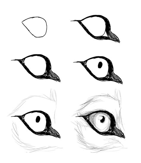 drawingdogs_5-7_eye_side how to draw a canine eye ★ || CHARACTER DESIGN REFERENCES (www.facebook.com/CharacterDesignReferences & pinterest.com/characterdesigh) • Love Character Design? Join the Character Design Challenge (link→ www.facebook.com/groups/CharacterDesignChallenge) Share your unique vision of a theme every month, promote your art and make new friends in a community of over 20.000 artists! || ★ Wolf Eye Drawing, Drawing Wolf, Wolf Drawings, Wolf Sketch, Realistic Eye Drawing, Wolf Eyes, Výtvarné Reference, Drawing Eyes, Siluete Umane