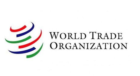 India and South Africa have questioned the consistency and legal status of the ongoing joint statement initiatives on issues such as e-commerce and investment facilitation at the World Trade Organization (WTO), the first-ever such submission by any member country. World Trade Organization, Young Professional, Global Economy, Developing Country, World Trade, Financial Markets, Business News, Leadership, Government