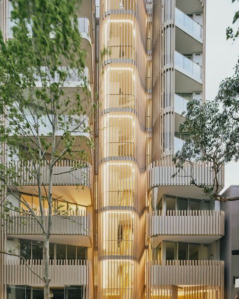 Image 15 of 16 of Tree Apartment | Koichi Takada Architects | Photograph by Bryn Donkersloot Koichi Takada, Shopping Centre, Shopping Center, Architects, Apartment, Media, Photo And Video, Photographer