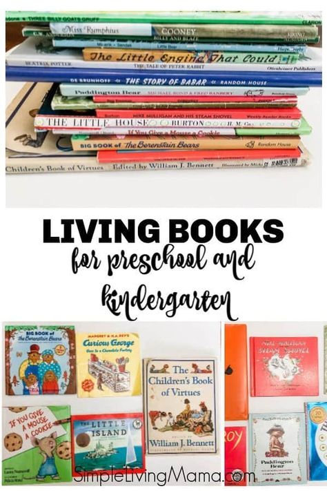 Best Books For Homeschool Library, Kindergarten Book List, Homeschool Library, Charlotte Mason Preschool, Living Books List, Nature Homeschool, Books For Kindergarten, Preschool Homeschooling, Books For Preschool