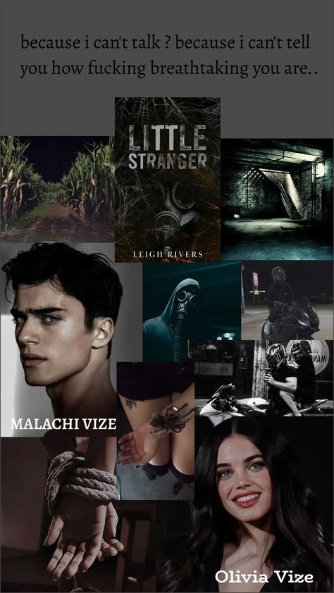 Little Stranger by Leigh Rivers. Little Stranger Book, Little Stranger Aesthetic, Shallow River Hd Carlton Book Aesthetic, Little Stranger Leigh Rivers Fanart, Little Stranger Leigh Rivers Aesthetic, Little Stranger Leigh Rivers, Leigh Rivers Books, Dark Romance Books Aesthetic, Little Stranger