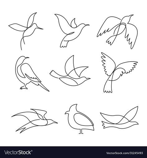 Birds Line Drawing, One Line Bird Drawing, Line Work Bird Tattoo, One Line Drawing Bird, One Line Animal Drawing, Continuous Line Drawings, Bird Line Tattoo, One Line Drawing Animals, White Bird Drawing