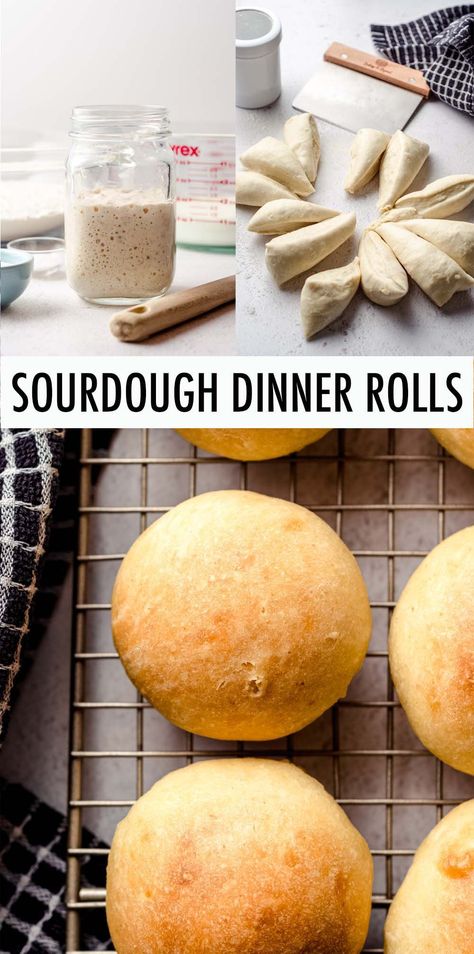 This sourdough dinner roll recipe is made with active starter resulting in soft, fluffy, buttery rolls with that signature sourdough tang. | sourdough dinner rolls recipe | sourdough dinner rolls with starter | sourdough rolls recipe | sourdough rolls from starter | homemade sourdough rolls recipe | how to make sourdough rolls Sourdough Starter Rolls Recipe, Sourdough Rolls No Yeast, Quick Sour Dough Rolls, Quick Sourdough Rolls From Starter, Sourdough Dinner Rolls No Yeast, Sourdough Buns No Yeast, Sourdough Roll Recipe, Sourdough Rolls From Starter No Yeast, Sourdough Crusty Rolls