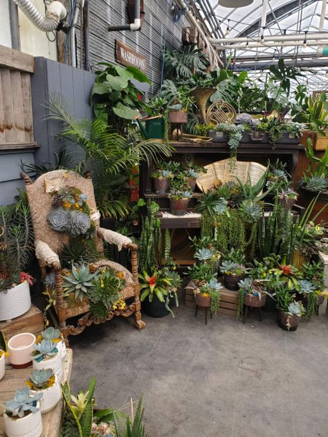 Garden Centre Displays Retail, Garden Centre Displays, Retail Display Ideas, Garden Center Displays, Nursery Garden, Ideas For Garden, Nomad Life, Shop Displays, Garden Centre