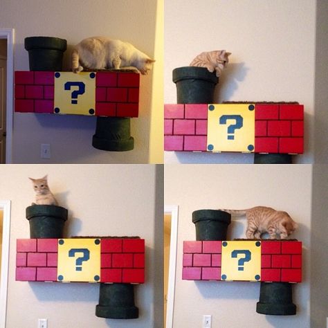 Nintendo Themed Cat Climber via Reddit user collinferal Super Mario Cat, Katt Grejer, Chat Diy, Kat Diy, Cat Climber, Diy Cat Tree, Cat Perch, Ideal Toys, Cat Shelves