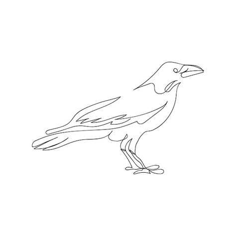 Crow Line Tattoo, Crow Outline Tattoo, Crow Line Art, Raven Line Art, Simple Raven Tattoo, Ankle Band Tattoo, Rabe Tattoo, Continuous Line Tattoo, Raven Artwork