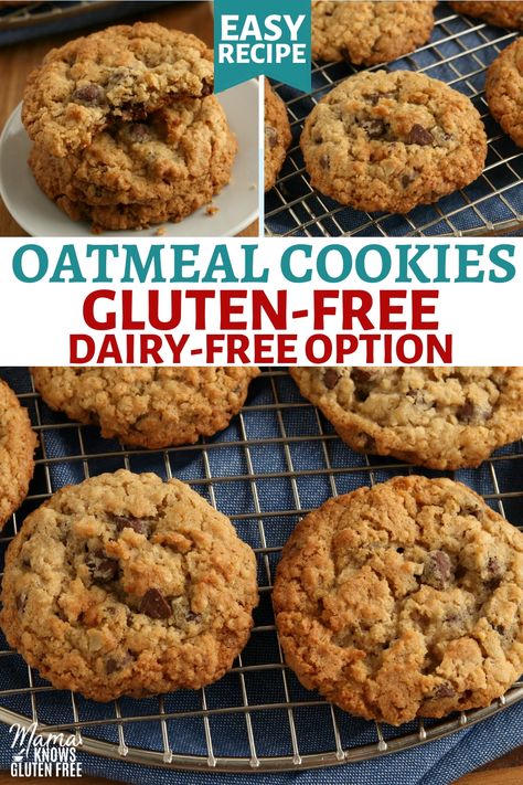 Dairy Free Oatmeal Raisin Cookies, Gluten Free Oatmeal Chocolate Chip Cookies, Gluten Free Oatmeal Raisin Cookies, Oatmeal Chocolate Chip Cookie, Gluten Free Oatmeal Cookies, Oatmeal Cookie Recipe, Dairy Free Cookies, Halo Top, Gluten Free Cookie Recipes