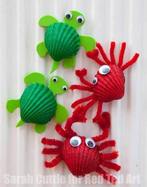 Ocean Kids Crafts, Crab Crafts, Crab Shells, Ocean Kids, Sea Crafts, Vbs Crafts, Ocean Crafts, Diy Bricolage, Beach Crafts