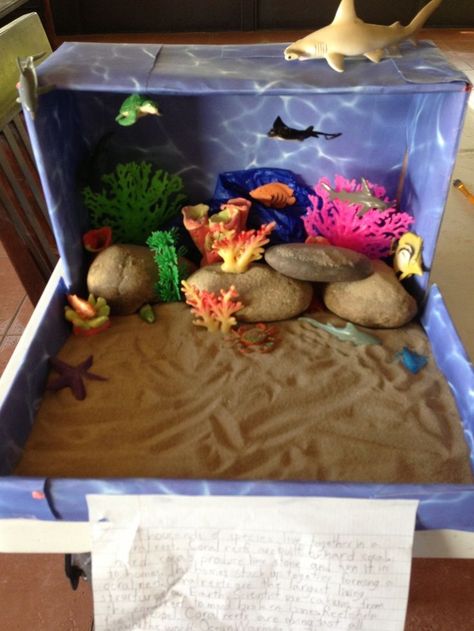 Coral Reef Biome, Coral Reef Project, Coral Reef Craft, Habitat Project, Ocean Diorama, Biomes Project, Diorama Kids, Aquarium Craft, Ecosystems Projects