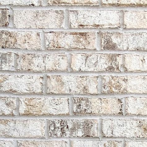 US Brick on Instagram: "#BrickSpotlight featuring Magnolia Brick!🌟🧱 Magnolia boasts a soft white appearance gracefully interlaced with subtle hints of natural brown, buff and light gray undertones, offering a tactile face with character and classic edges.🤍  Swipe for more!📸 Image 1: White Mortar Image 2: Magnolia Brick Color Hues  Image 3: White Mortar Image 4: Gray Mortar  Image 5: Ivory Mortar   Manufactured in Columbia, SC🇺🇸" Magnolia Bay Brick With White Mortar, 60 Mm Mortar, 60mm Mortar, Marshton Queen Brick Gray Mortar, 81 Mm Mortar, Pot Lights, Brick Colors, Natural Brown, Magnolia