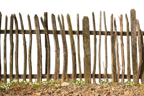 Landscape Model, Cedar Fence, Wooden Fence, Medical Illustration, Fence Design, Fencing, Railing, Royalty Free Photos, Royalty Free Images