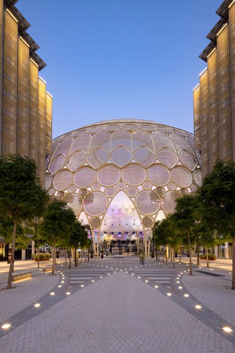 Expo City Dubai, Vertical Trellis, Expo Dubai, Urban Rooms, Expo 2020 Dubai, Dubai Tourism, Futuristic Space, Dubai Architecture, Natural Landscaping