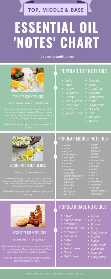 Essential Oil Chart, Notes Essentials, Essential Oil Perfumes Recipes, Are Essential Oils Safe, Essential Oil Diffuser Blends Recipes, Making Essential Oils, Perfume Recipes, Essential Oils Guide, Diy Perfume