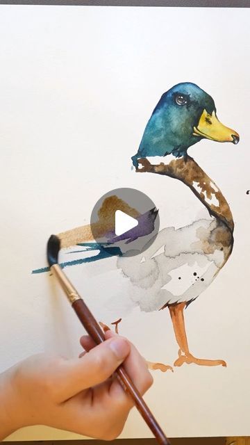 Watercolor Wildlife, Watercolor Loose, Book Tutorial, Upcoming Books, Unique Characteristics, Love Animals, Mallard, Watercolor Animals, This Guy