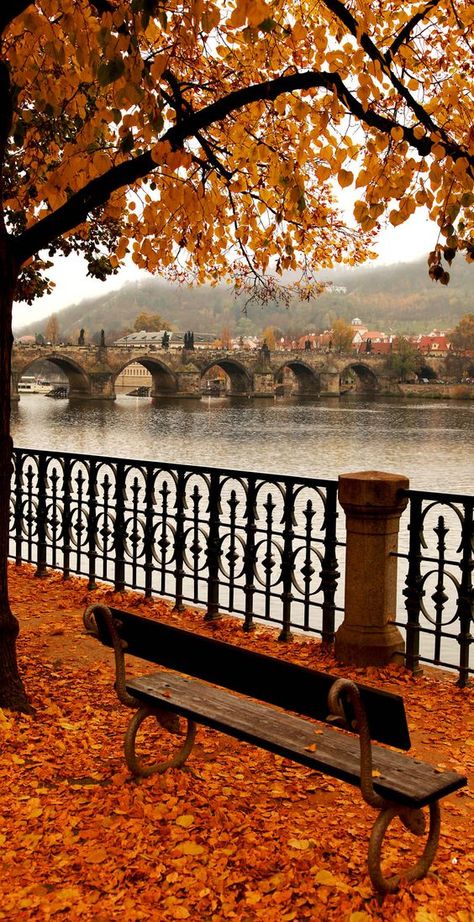 #Autumn #Prague is real romance... Season of wine festivals and hot drinks is approaching! Autumn Melancholy, Charles Bridge, Countries To Visit, Prague Czech Republic, Autumn Scenery, Prague Czech, Fall Pictures, Life Story, Autumn Aesthetic