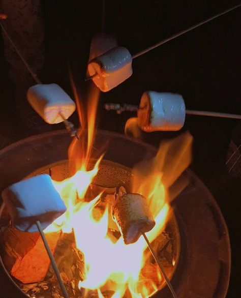 Fall Bucket List Pictures, Making Smores Aesthetic, Campfire Astethic, Smores Aesthetics, Bonfire And Smores Aesthetic, Nature Girlie, Camping Bonfire Aesthetic, S’mores Campfire Aesthetic, Campfire Snacks