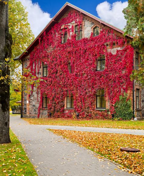 Autumn colors in Sigulda, Latvia. The shot was taken at autumn in the vicinity o , #AFF, #Latvia, #shot, #autumn, #Autumn, #colors #ad Sigulda Latvia, Fall Images, Vintage Graphic Design, The Shot, Autumn Colors, Latvia, Vintage Graphics, Fall Colors, Photo Image