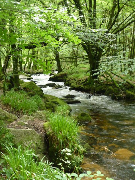 Small stream flowing into River Fowey (C) Lewis Potter :: Geograph ... Any one like this? Let me know! Stream Aesthetic, Woodland Stream, Shepherd Hut, River Stream, Forest Stream, Drawing Prompts, Landscape Elements, Silly Things, What Do You See