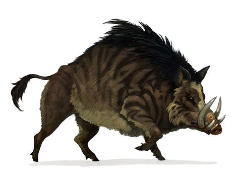 Wild Boar Art from Bless Online #art #artwork #videogames #gameart #conceptart #illustration #bless #blessonline #monsterart #creaturedesign #creatureart #monsterdesign Emboar Pokemon, Pig Art, Wild Boar, Fantasy Creatures Art, Fantasy Monster, Cute Pigs, Monster Design, Creature Concept Art