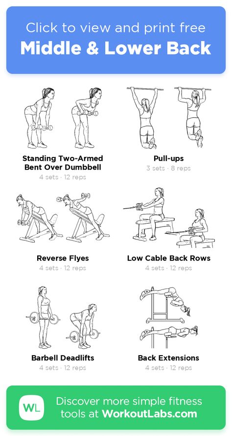 Core And Lower Back Workout, Mid Back Exercises Gym, Lower Back Excersises For Women, Lower Back Exercises Women Gym, Middle Back Workout Women, Lower Back Muscle Workout, Lower Back Exercises Gym, Low Back Exercises Women, Lower Back Gym Workout