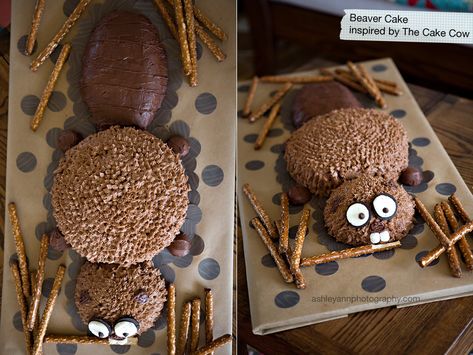 Beaver party with a build your own den out of pretzels, choc chips and peanut butter. Beaver Cake Ideas, Beaver Themed Party, Opossum Cake, Beaver Party, Beaver Cake, Cake Cow, Beaver Scouts, Birthday Cakes For Boys, Forest Hiking