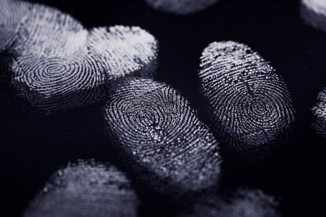 Scene Del Crimine, Apple Watch Features, Detective Aesthetic, My Future Job, Forensic Scientist, Forensic Science, Science Photos, Future Jobs, Images Esthétiques