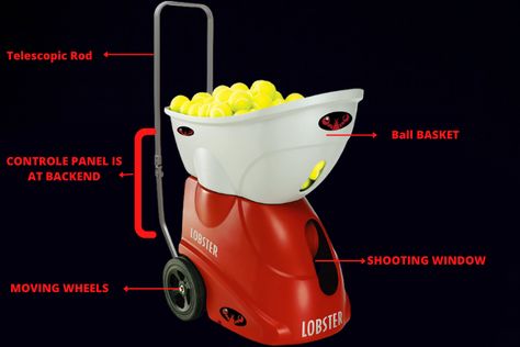 Tennis Ball Machines, Tennis Ball, Tennis, Celebrities