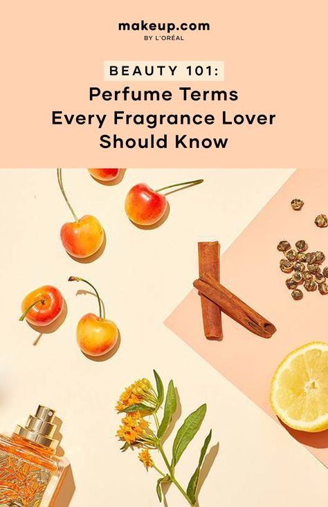 Beauty 101: Perfume Terms Every Fragrance Lover Should Know Perfume Content Ideas, Perfume Content, Fancy Perfume, Luxurious Perfume, Perfume Packaging, Fragrant Plant, Perfume Fragrance, The Perfume, Solid Perfume