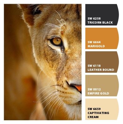 Lioness from Chip It! by Sherwin-Williams Lion Colour Palette, Lion Color Palette, Safari Colour Palette, Out Of Africa Style, Safari Bedroom, Mixing Paint Colors, Photography Business Branding, Yarn Color Combinations, African Colors