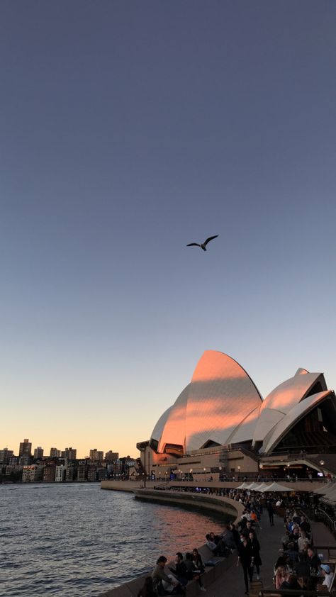 autumn sunset desde la opera house Autumn Sunset, 2024 Vision, Australia Travel, Opera House, Sydney Opera House, Opera, Sydney, Vision Board, Ipad