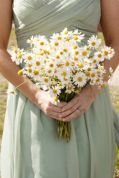 White Daisy Wedding Bouquet, Daisy Bouquet Wedding, Wildflower Wedding Bouquet, Simple Wedding Bouquets, Daisy Wedding, Daisy Bouquet, Wedding Flowers Summer, White Wedding Bouquets, Wildflower Bouquet