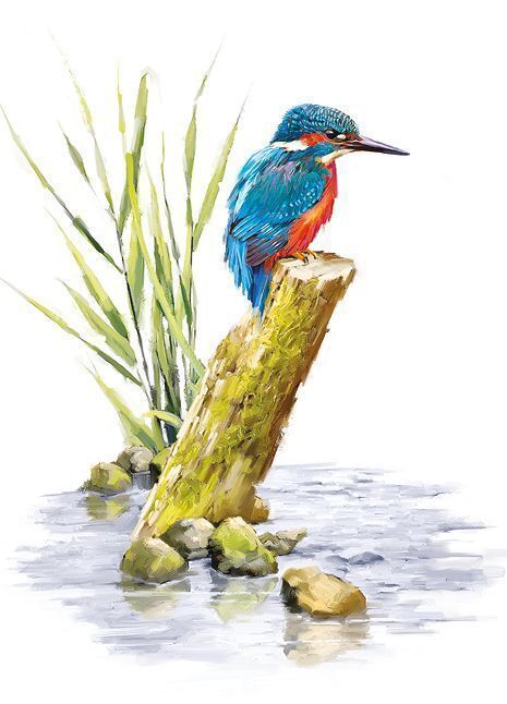 Birthday Card - Kingfisher Bird - Country Cards Quality NEW Visit Shop | Contact Us Opening Hours Monday - Friday: 9am until 6pm Gifts For Her Gifts For Him Gifts For Children Garden Home Cards Wedding Christmas 30 DAY RETURNS on all items HUNDREDS OF GIFTS ONLINE Category All Christmas Gifts for Children Gifts for Men Gifts for Women Home Garden Cards Equine Inspired Wedding Under £10 Other Birthday Card - Kingfisher Bird - Country Cards Quality NEW In Stock From: £3.19 CLICK & COLLECT AVAILABL Christmas Gifts For Children, Children Garden, Bull Painting, Kingfisher Bird, East Riding Of Yorkshire, Bug Art, Children Gifts, All Christmas, Gifts For Children