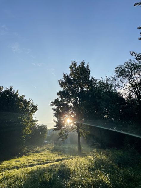 Early Morning Sunlight, Easy Morning Aesthetic, Summer Mornings Aesthetic, Early Aesthetic Morning, Mid Morning Aesthetic, Early Summer Morning Aesthetic, Early Morning Walks Aesthetic, Time Of Day Aesthetic, Morning Sunlight Aesthetic