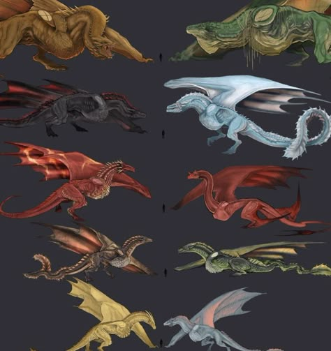 Asoiaf Dragons Size, Sunfire Dragon, Dragon Breeds, House Of The Dragon Dragons, Targaryen Dragons, Hotd Dragons, Game Of Thrones Artwork, Dragon Names, Mythical Creatures Fantasy