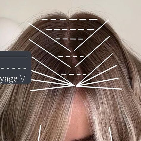 Slice Foil Placement, Lived In Blonde Foil Placement, Quick Foil Placement, Reverse Balayage Placement, Foiling Patterns Highlights, Partial Highlight Placement Foil, Blonde Foil Placement, Partial Highlights Placement Diagram, Balayage Foil Placement