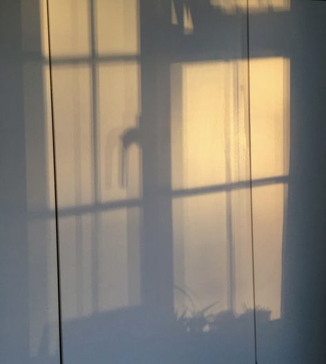 Sun Shadow Window, Chameleon Aesthetic, Shadow Window, Sunrise Window, Shadow Background, Sun Lamp, Shadow Shadow, Window Shadow, Sun Shadow