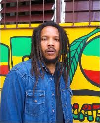 Stephen Marley Reggae Music Art, Marley Brothers, Stephen Marley, Marley Family, Bob Marley Pictures, Jah Rastafari, Reggae Bob Marley, Robert Nesta, Nesta Marley