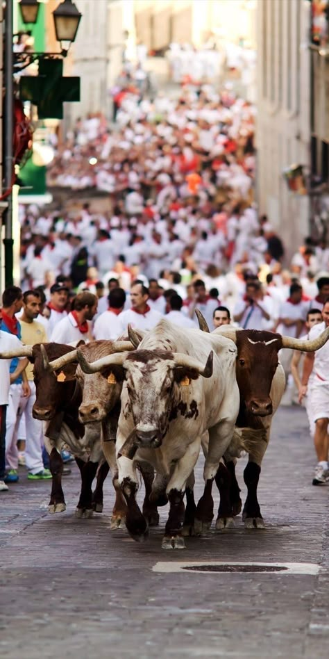 Pamplona Spain, Running Of The Bulls, Spain Culture, Celebration Around The World, Spanish Culture, Festivals Around The World, Bull Run, Pamplona, Spain And Portugal