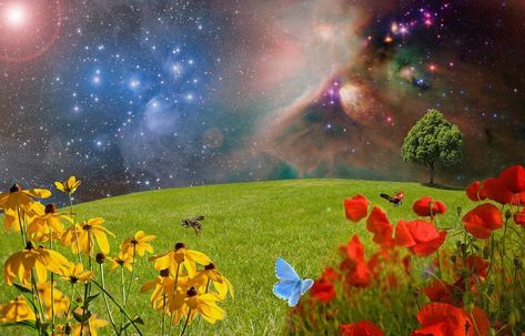 How to Know if You’re a Starseed. And why you’re waking up now | by Michelle Marie Warner | Mystic Minds | Medium Tata Surya, New Age Music, Metro Boomin, The Pleiades, Film D'animation, Simple Green, Abraham Hicks, Relaxing Music, Prado