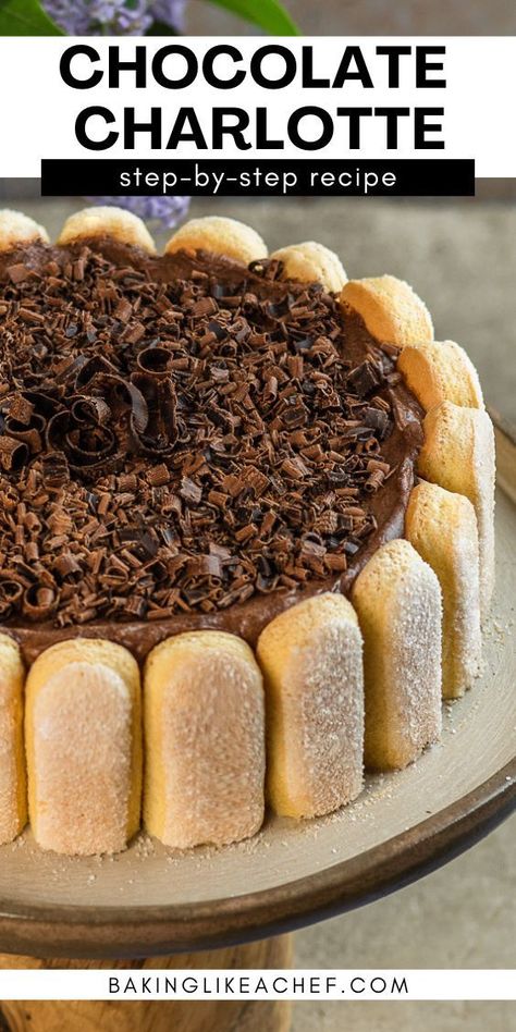 French chocolate Charlotte cake on a dessert plate. Charlotte Recipe Desserts, Charlotte Rouse Dessert, Chocolate Party Desserts, Charlotte Dessert Recipes, Chocolate Charlotte Cake, Recipes With Ladyfingers Desserts, French Chocolate Cake, Decadent Desserts Elegant, Best Chocolate Dessert Recipes